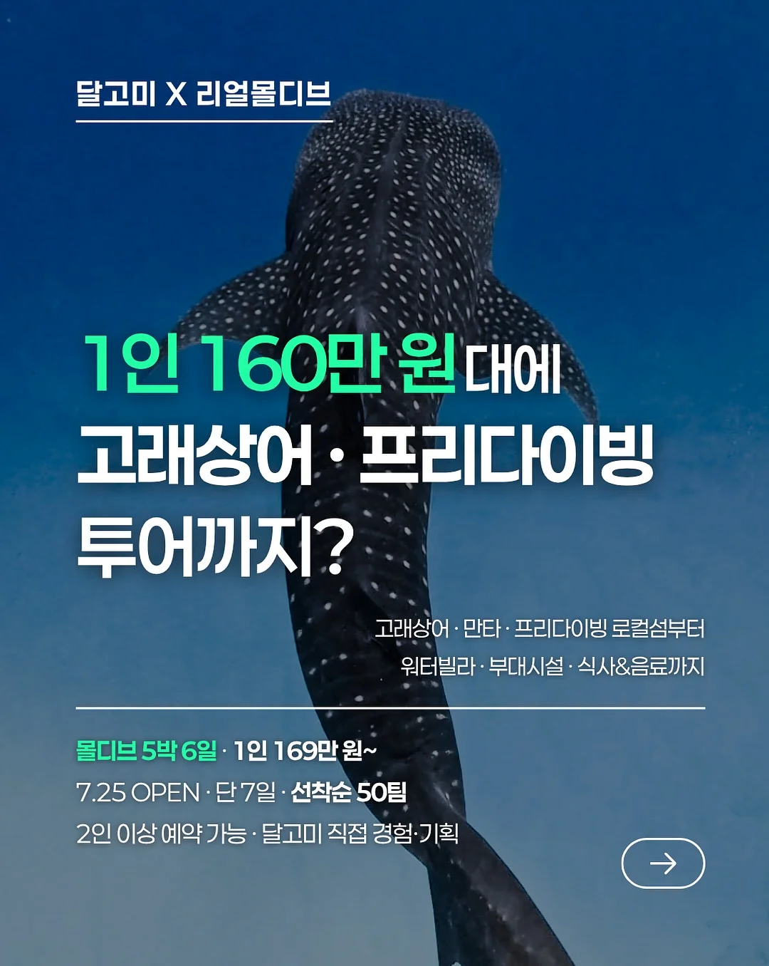 딸기 베이킹 재료 1