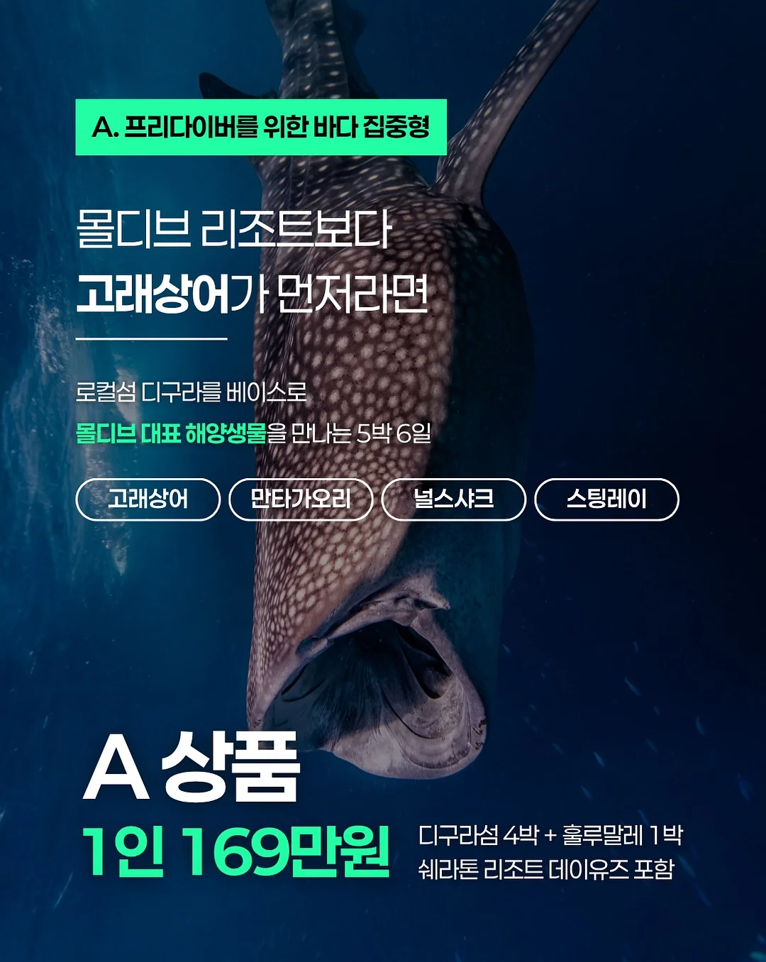 딸기 베이킹 재료 3