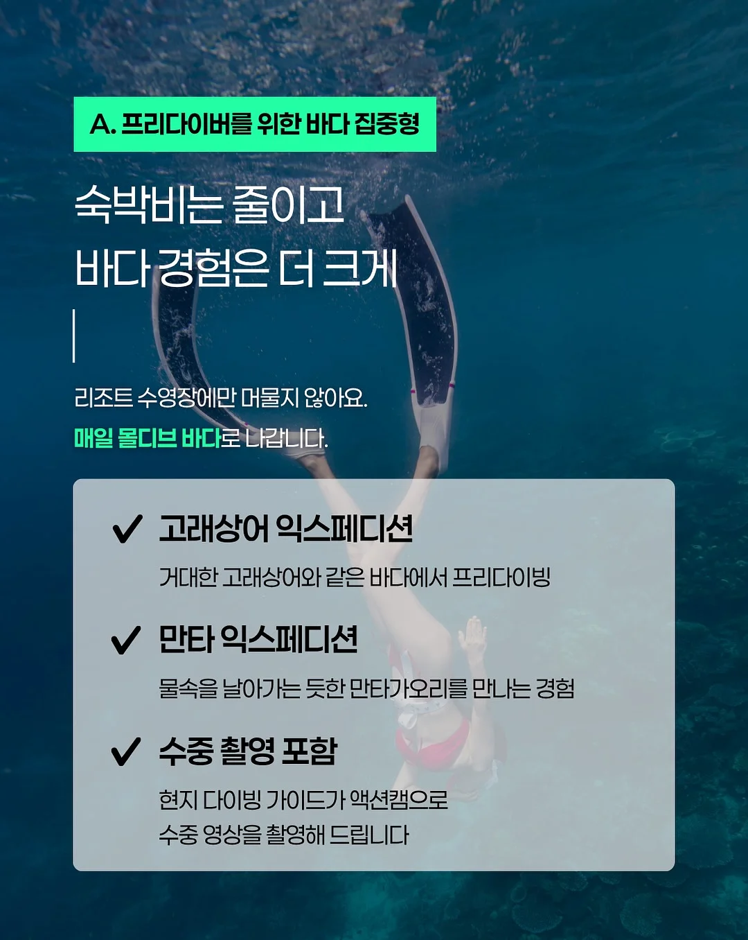 딸기 베이킹 재료 5