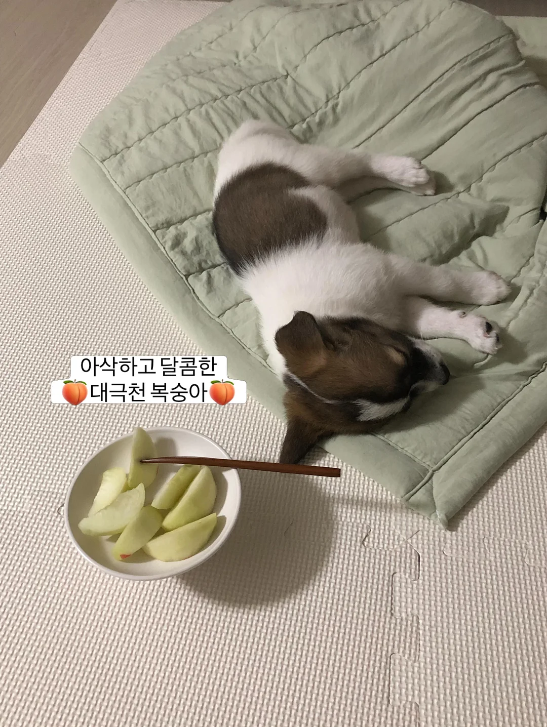 오프린트미 어패럴 1