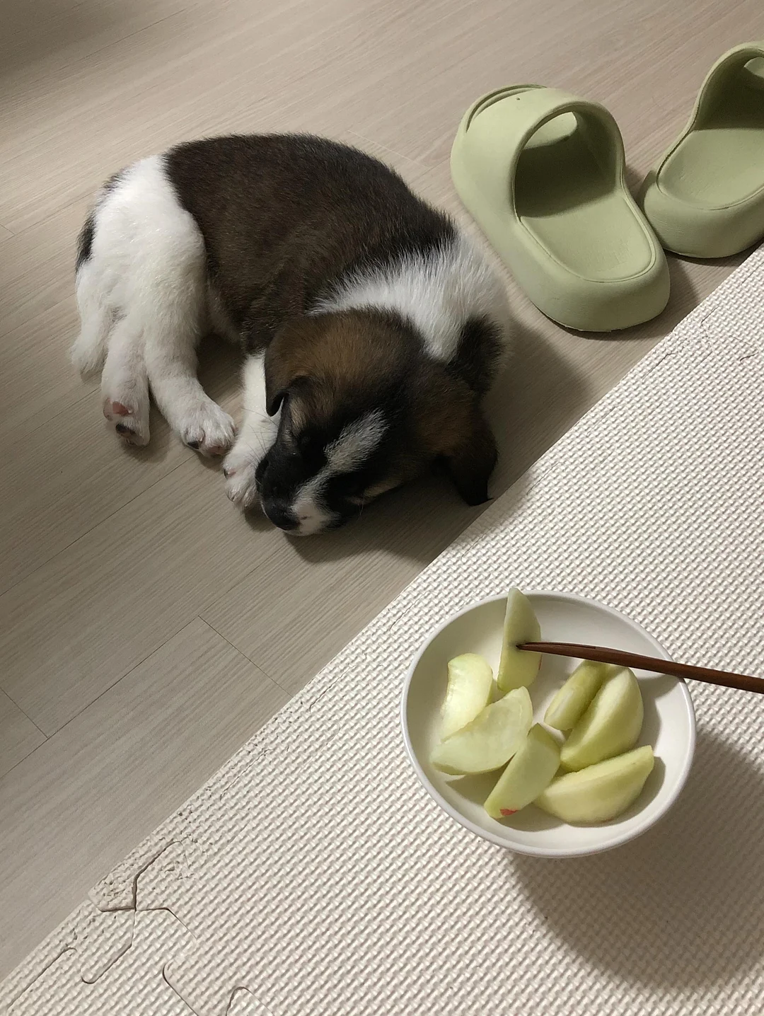 오프린트미 어패럴 2
