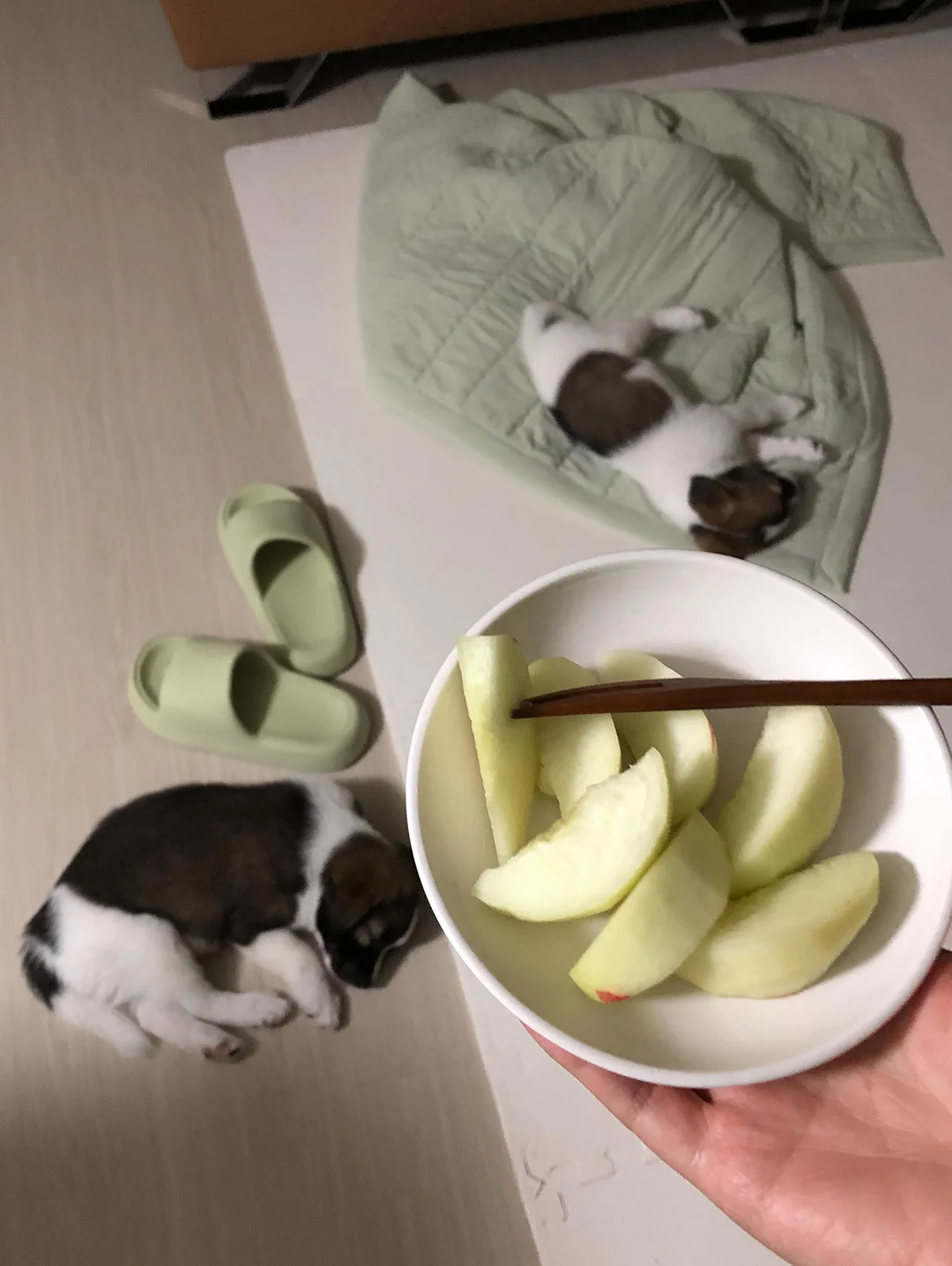오프린트미 어패럴 3