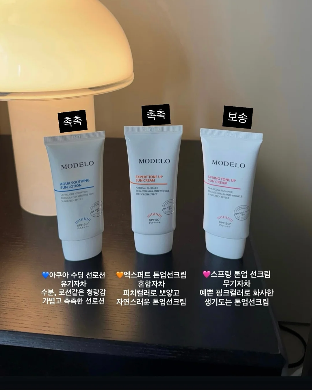 악마의 과일 5