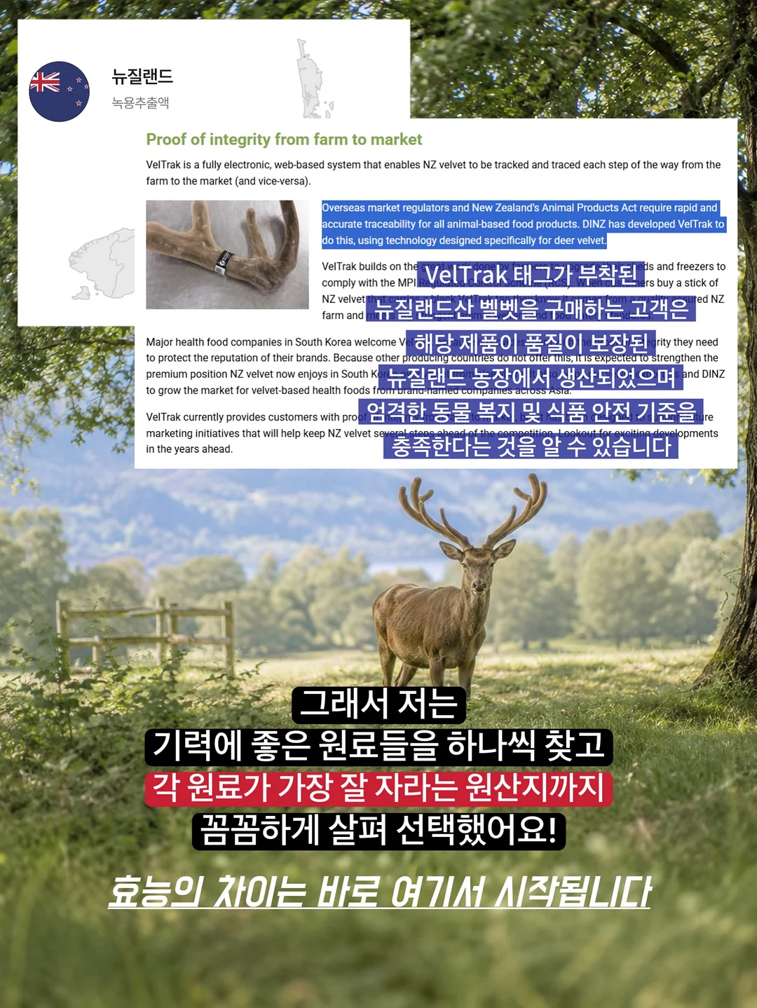 제이앤제이 재생크림 6