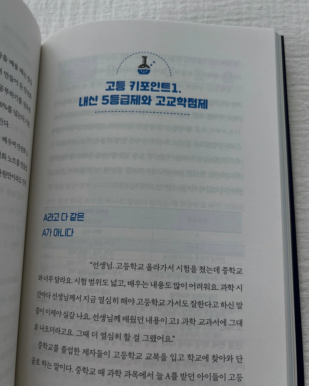 해리스펫 썸머 허그랩 블랭킷 8