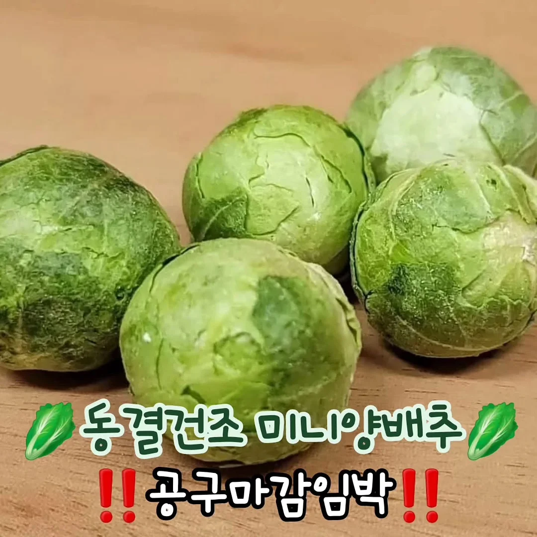 린도 여름신상
