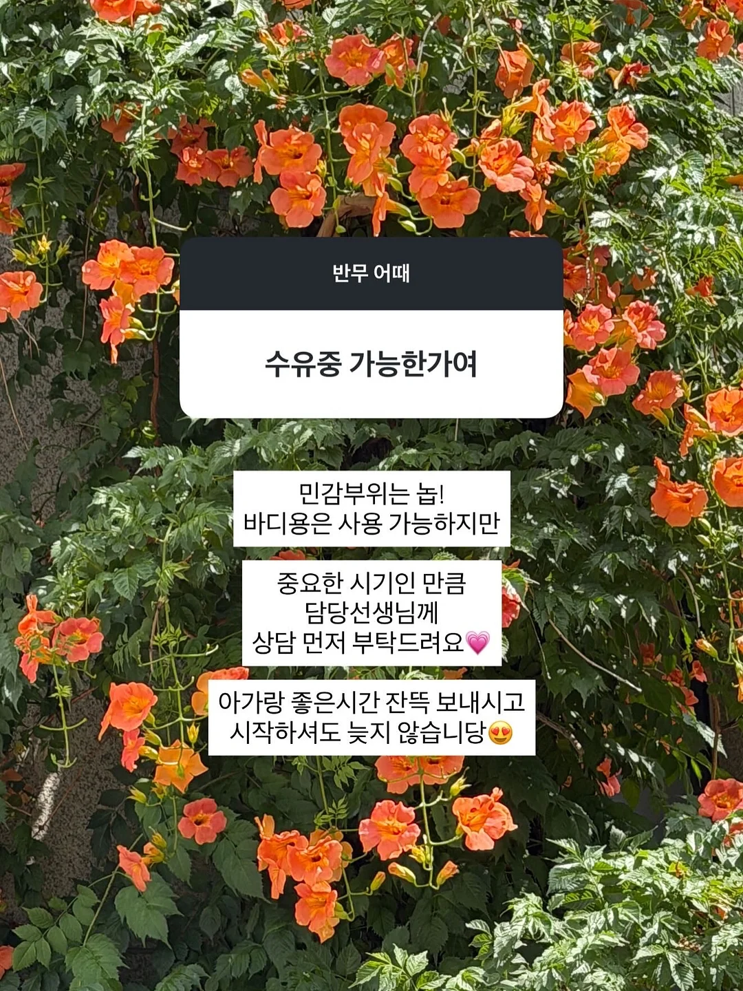 이번주 라인업 4