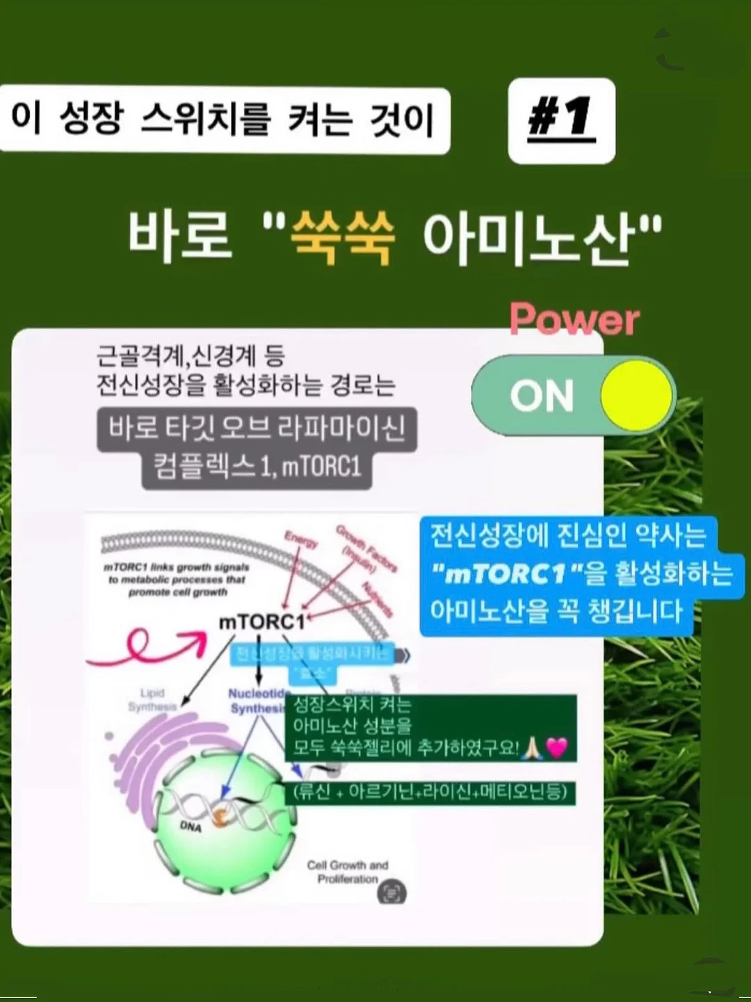 멍이화분 케이크 5