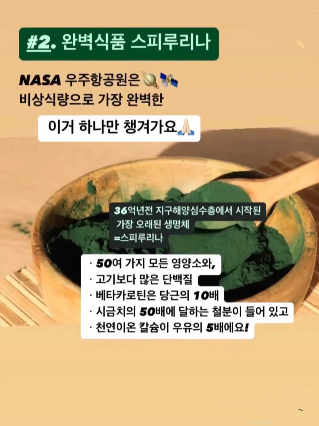 멍이화분 케이크 6
