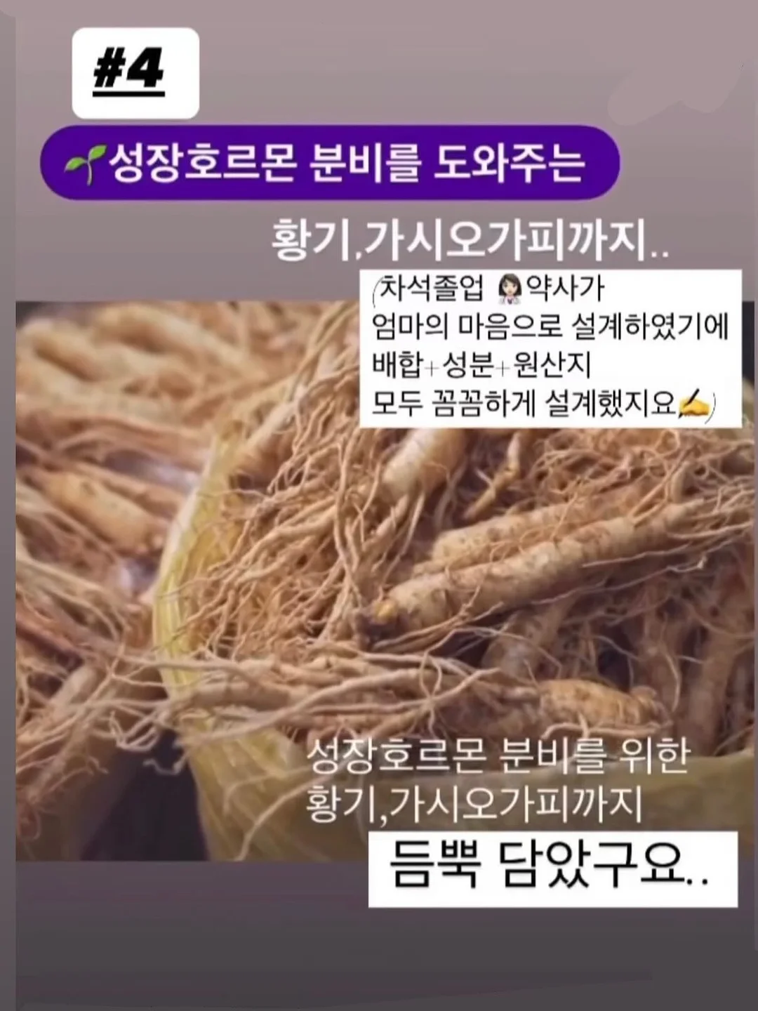 멍이화분 케이크 8