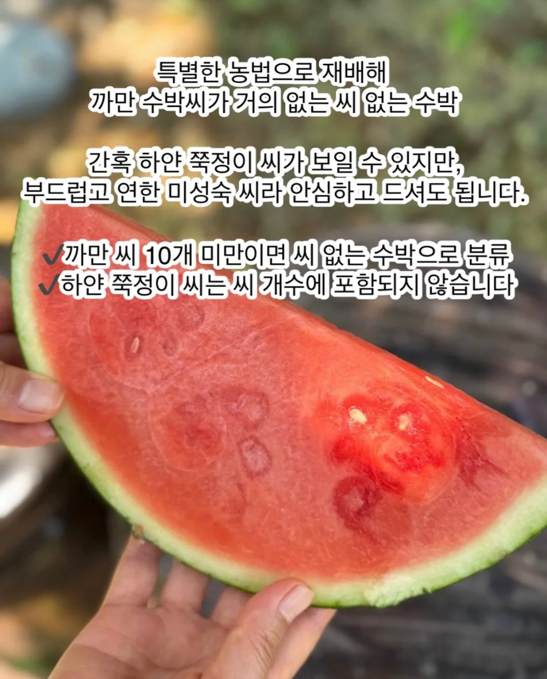 에어프라이어 용기 3