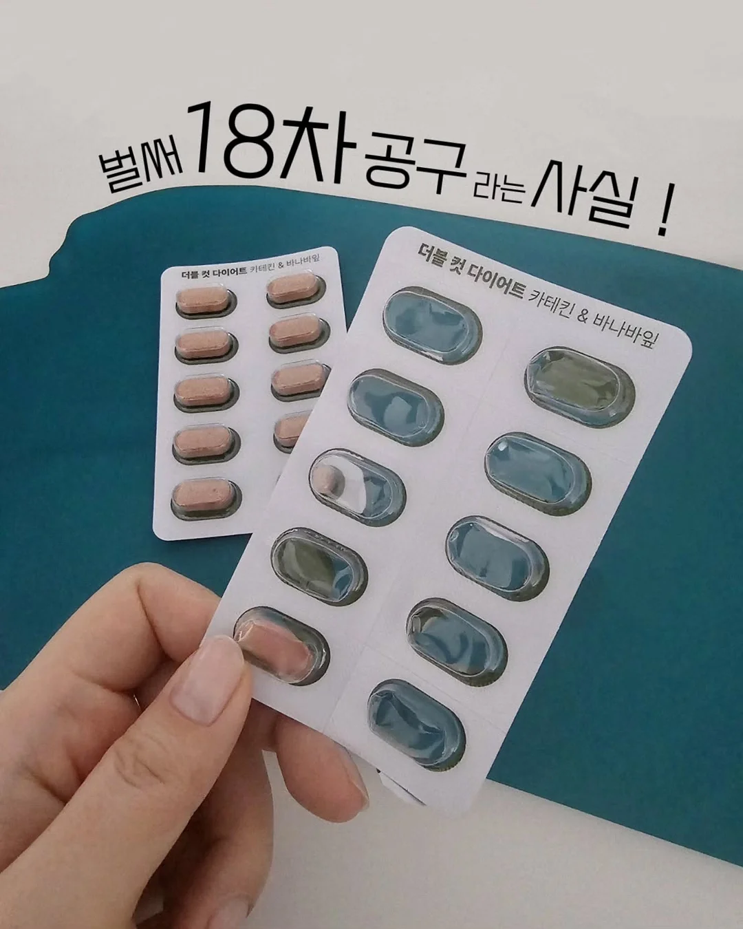 움직이는 Kitty Case 1