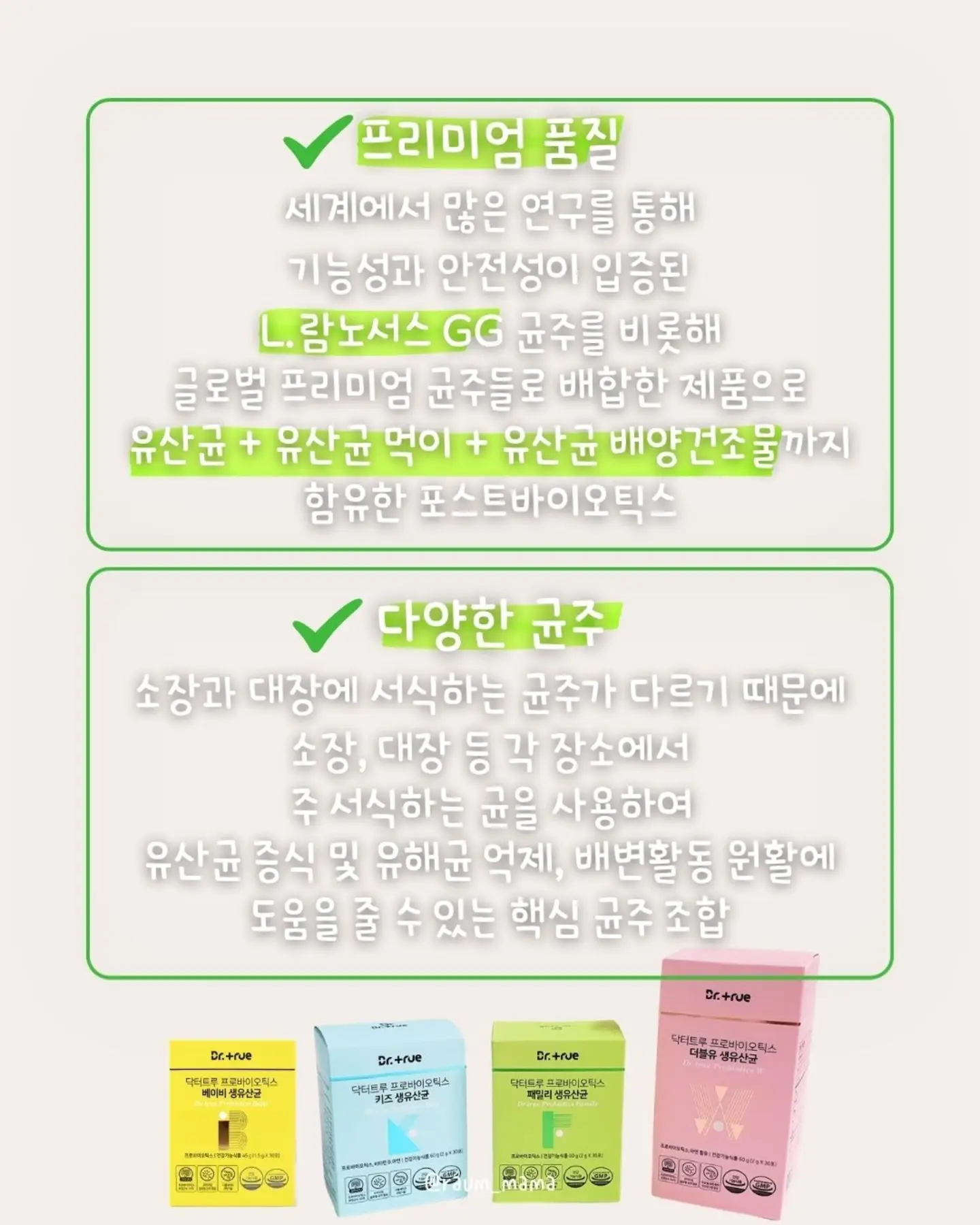 스네프 물놀이용품 7