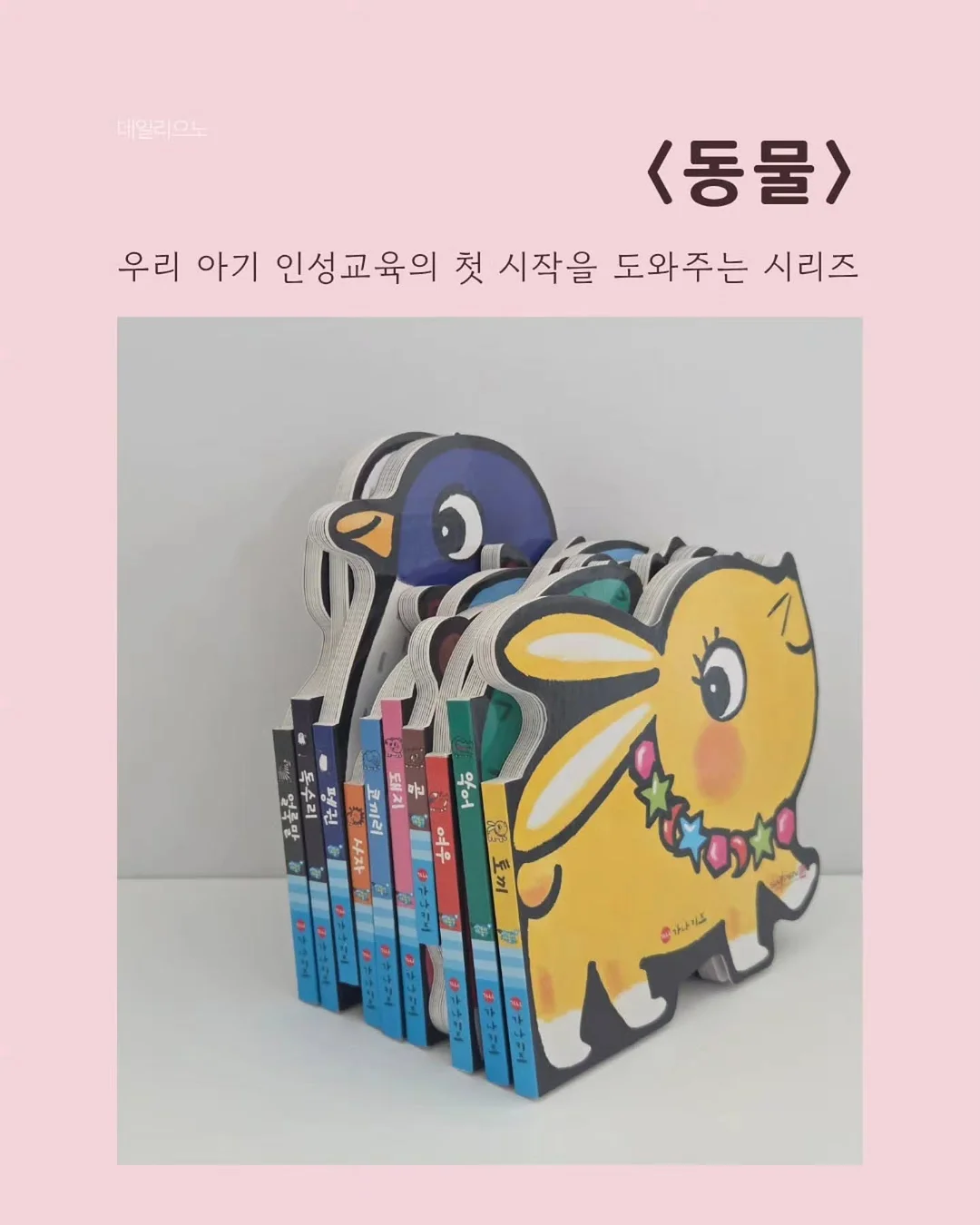 작약 돔형 케이크 2호사이즈 3