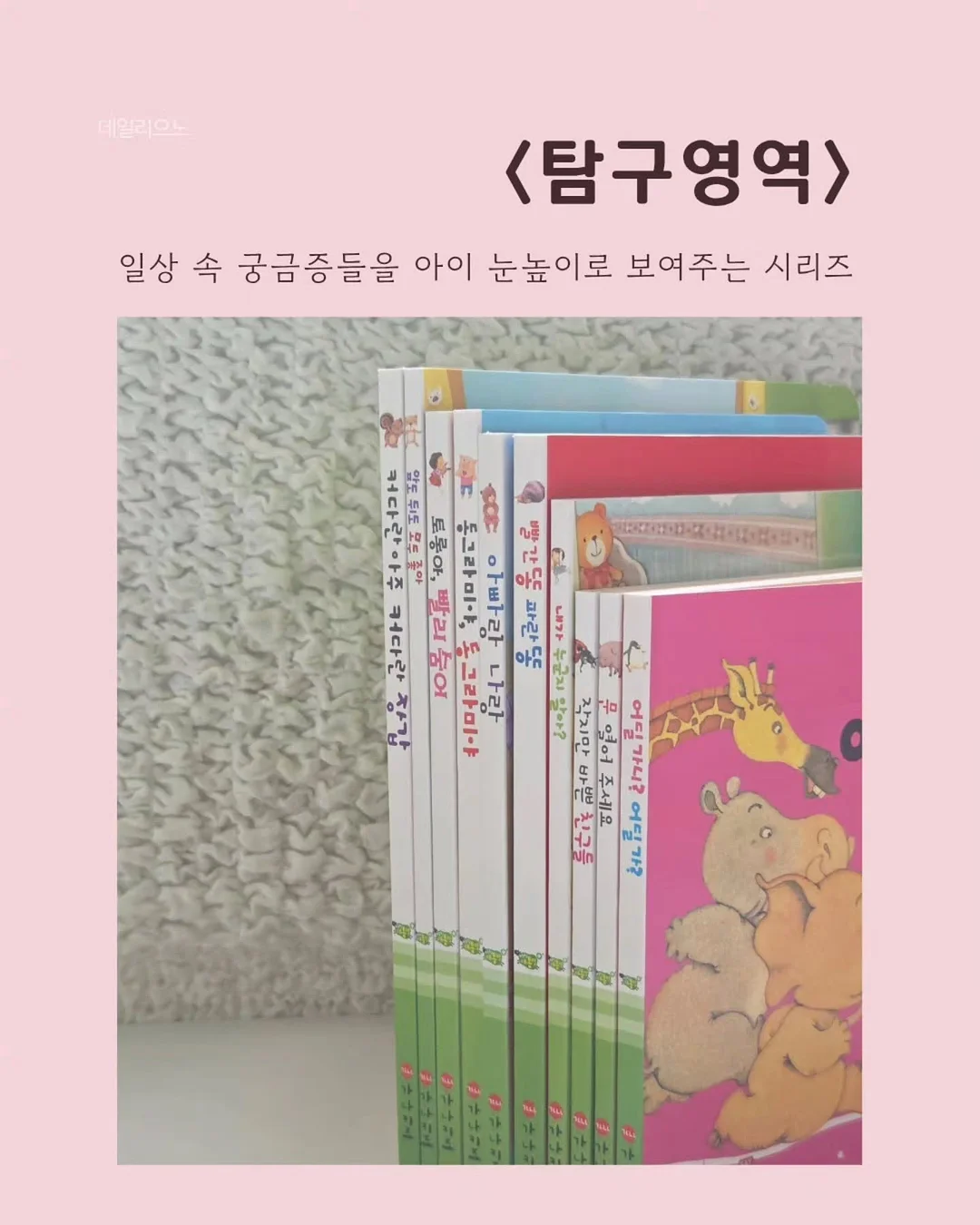 작약 돔형 케이크 2호사이즈 10