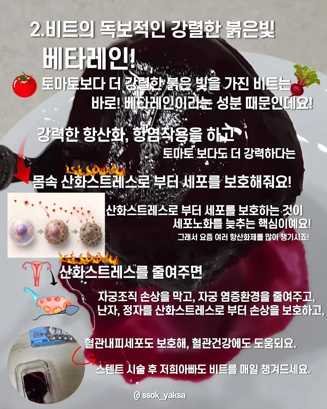 TIGER 반도체TOP10커버드콜액티브 4