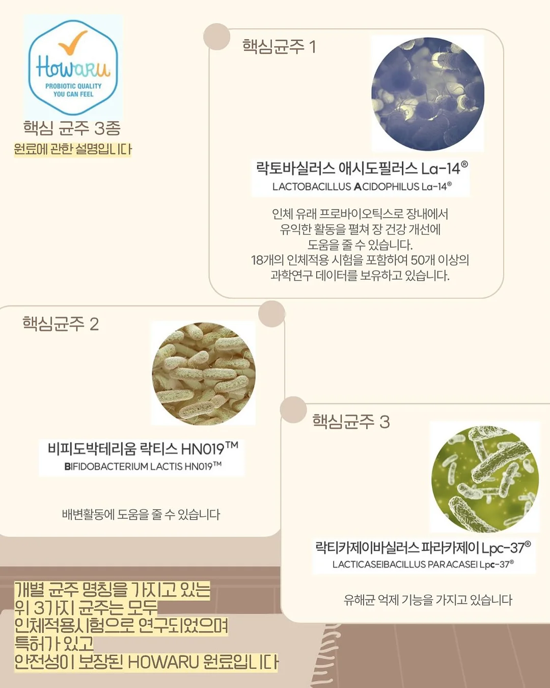 광선검 젓가락 5