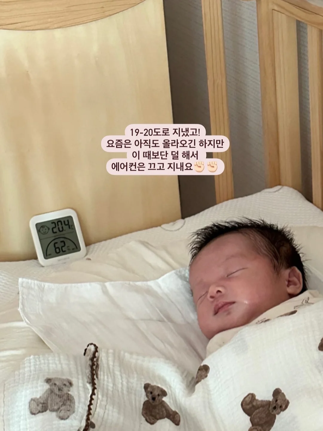 노탈리 텐텐 미스트 120ml 12