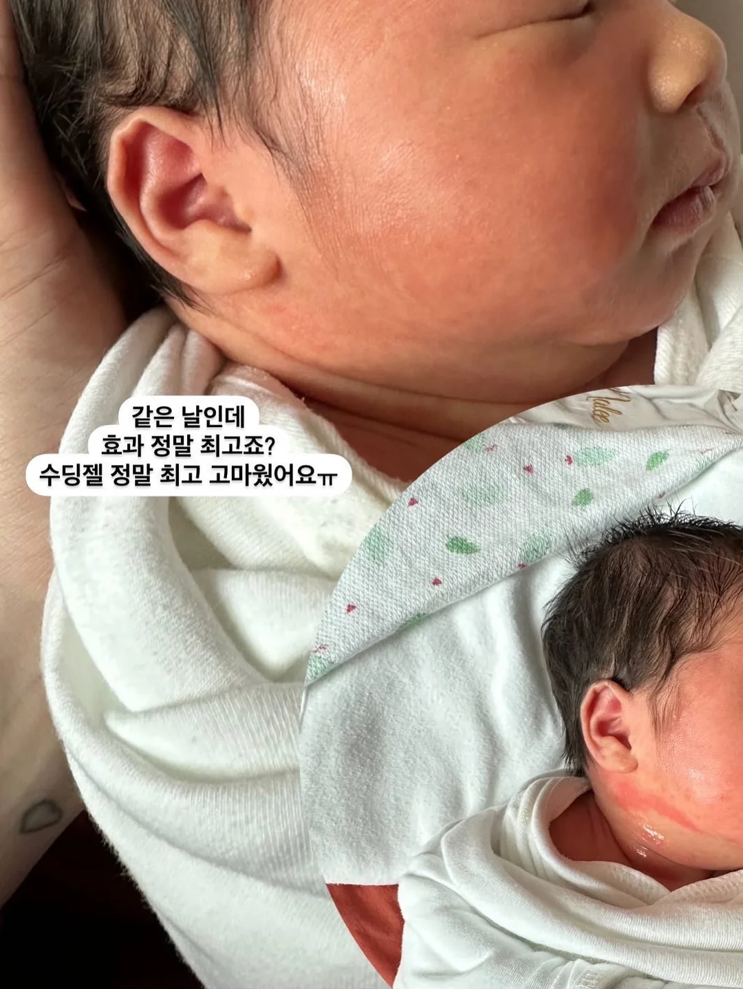 노탈리 텐텐 미스트 120ml 9