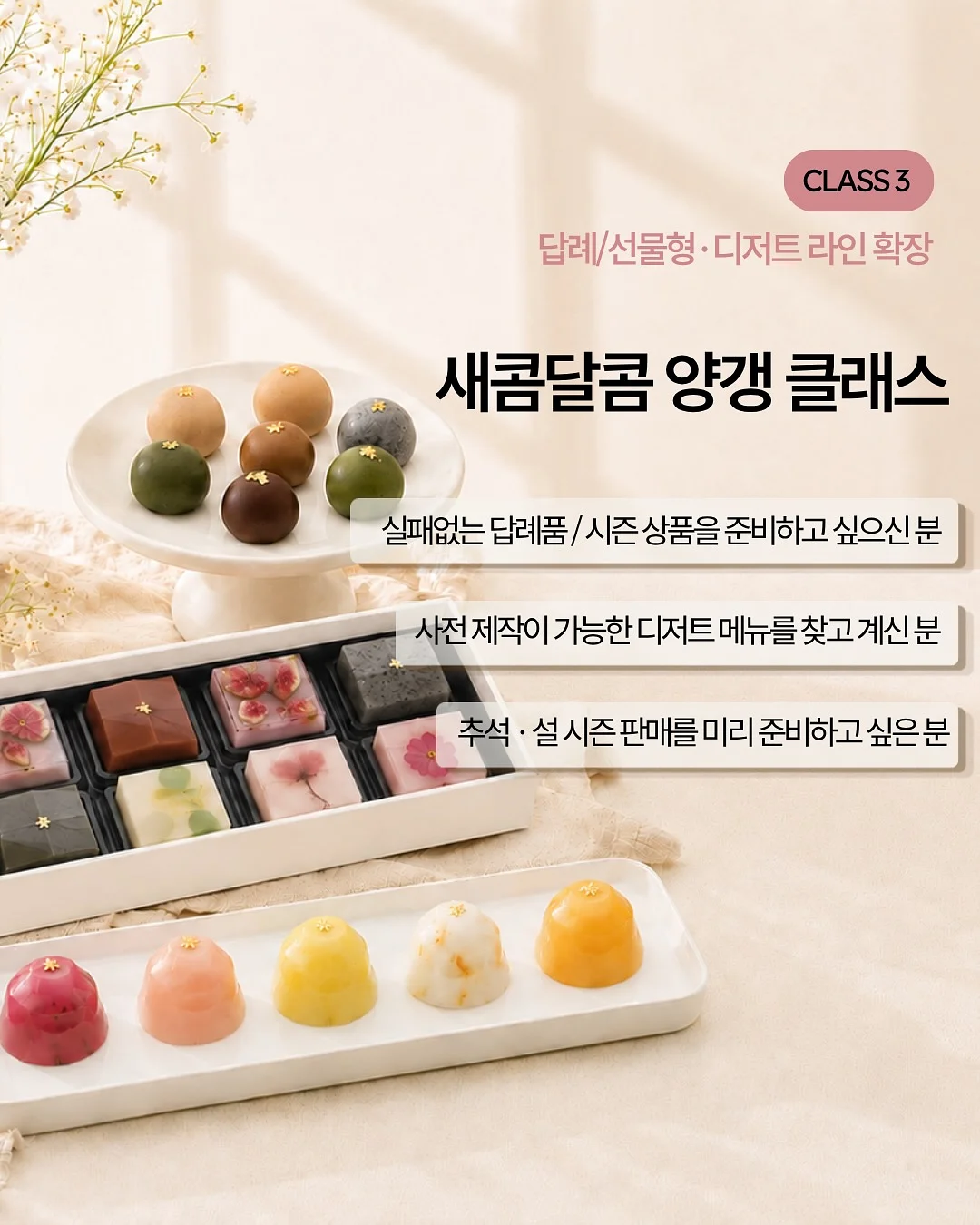 프릴나시셋업 8