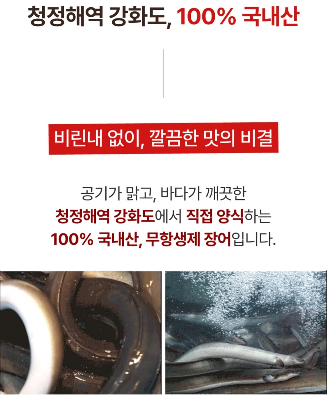 김진희 작가 도록 『JINHEE KIM』 7