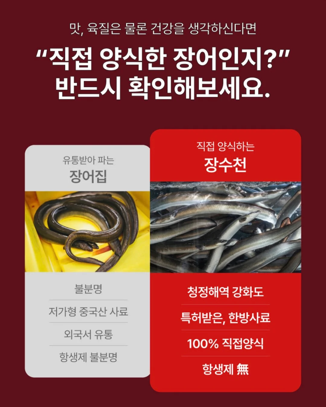 김진희 작가 도록 『JINHEE KIM』 8