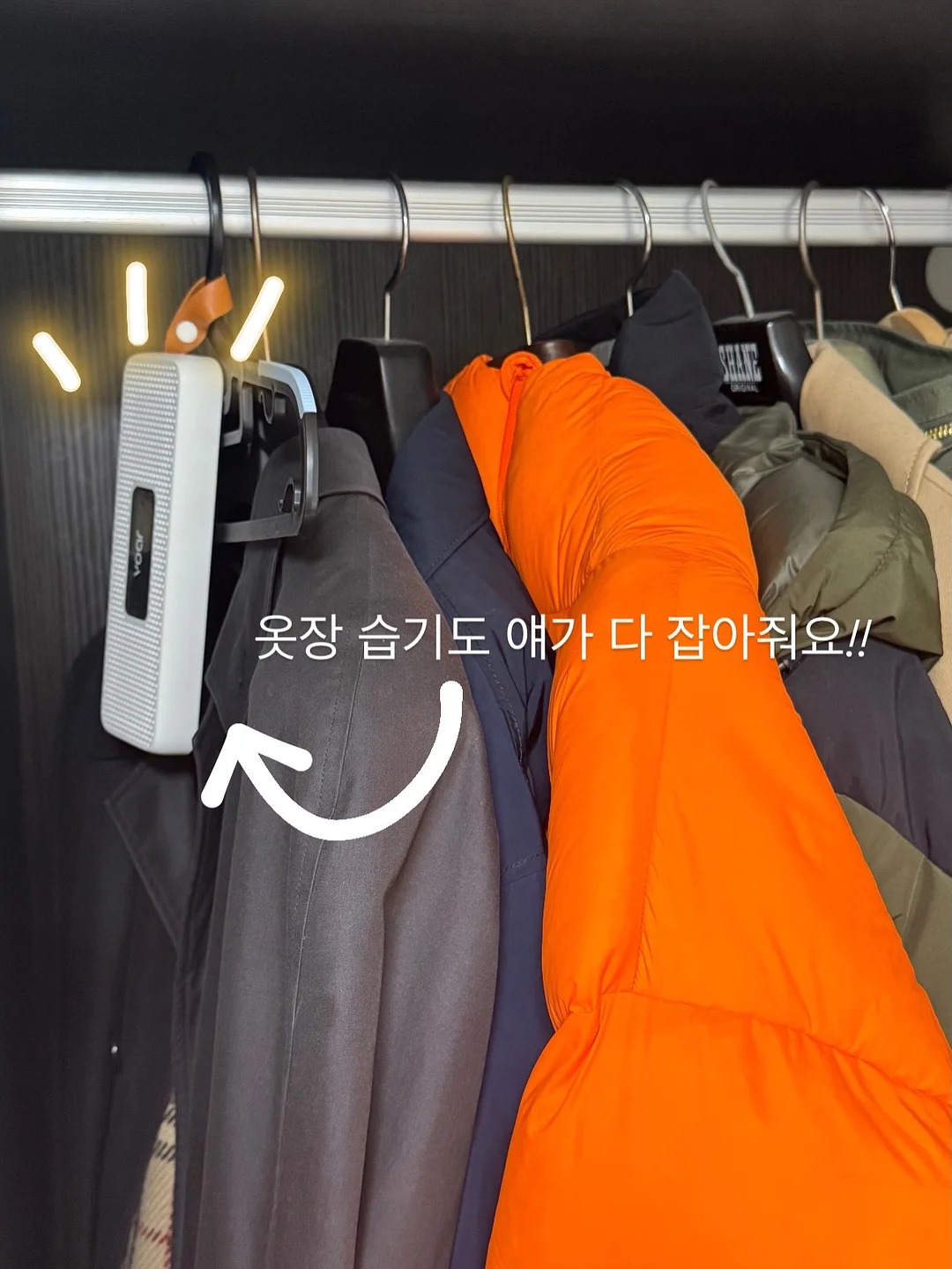 브레인올리지 키즈 오메가3 17