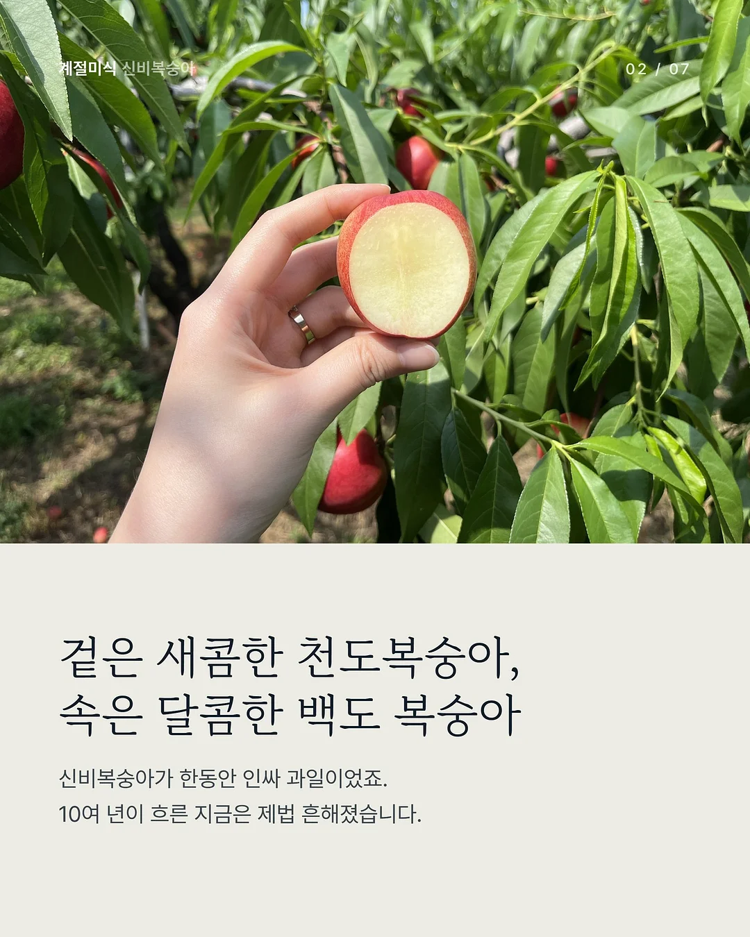 데스게임 한정판 보드게임 3종 2