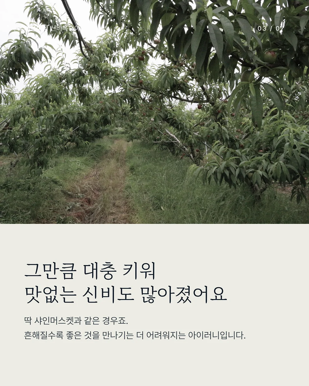데스게임 한정판 보드게임 3종 3