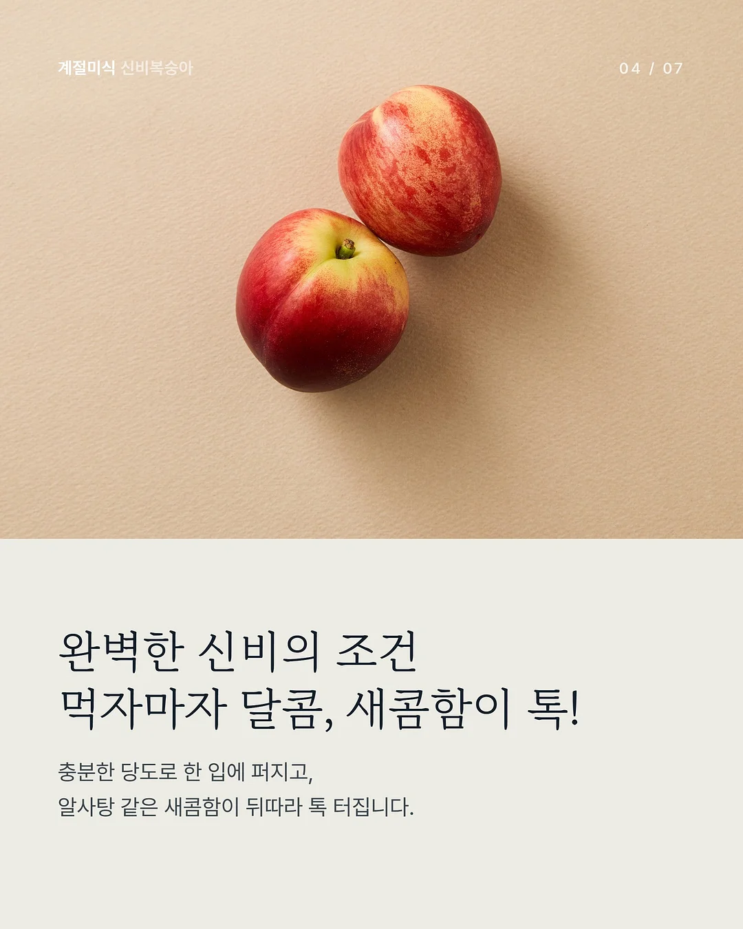 데스게임 한정판 보드게임 3종 4