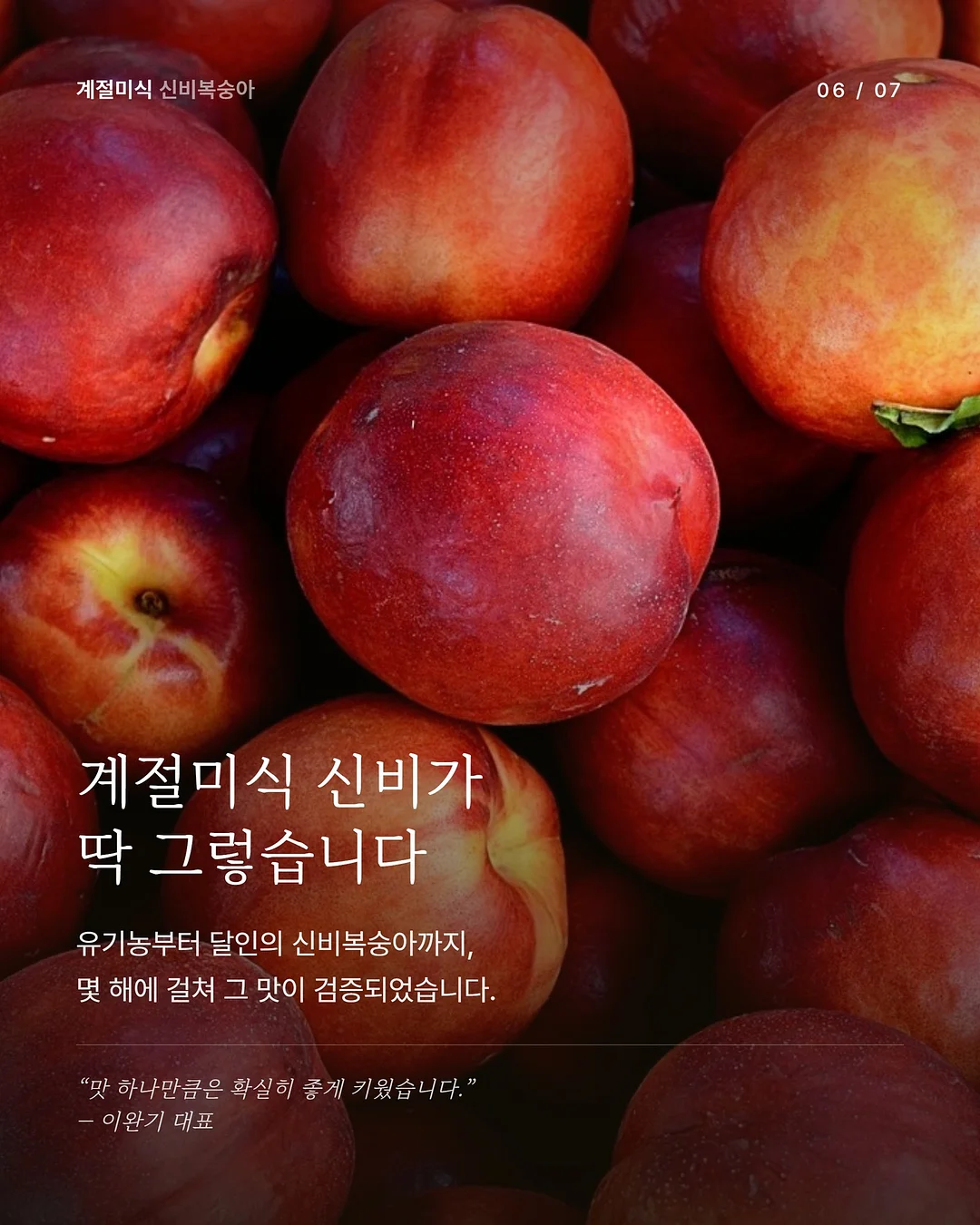 데스게임 한정판 보드게임 3종 6
