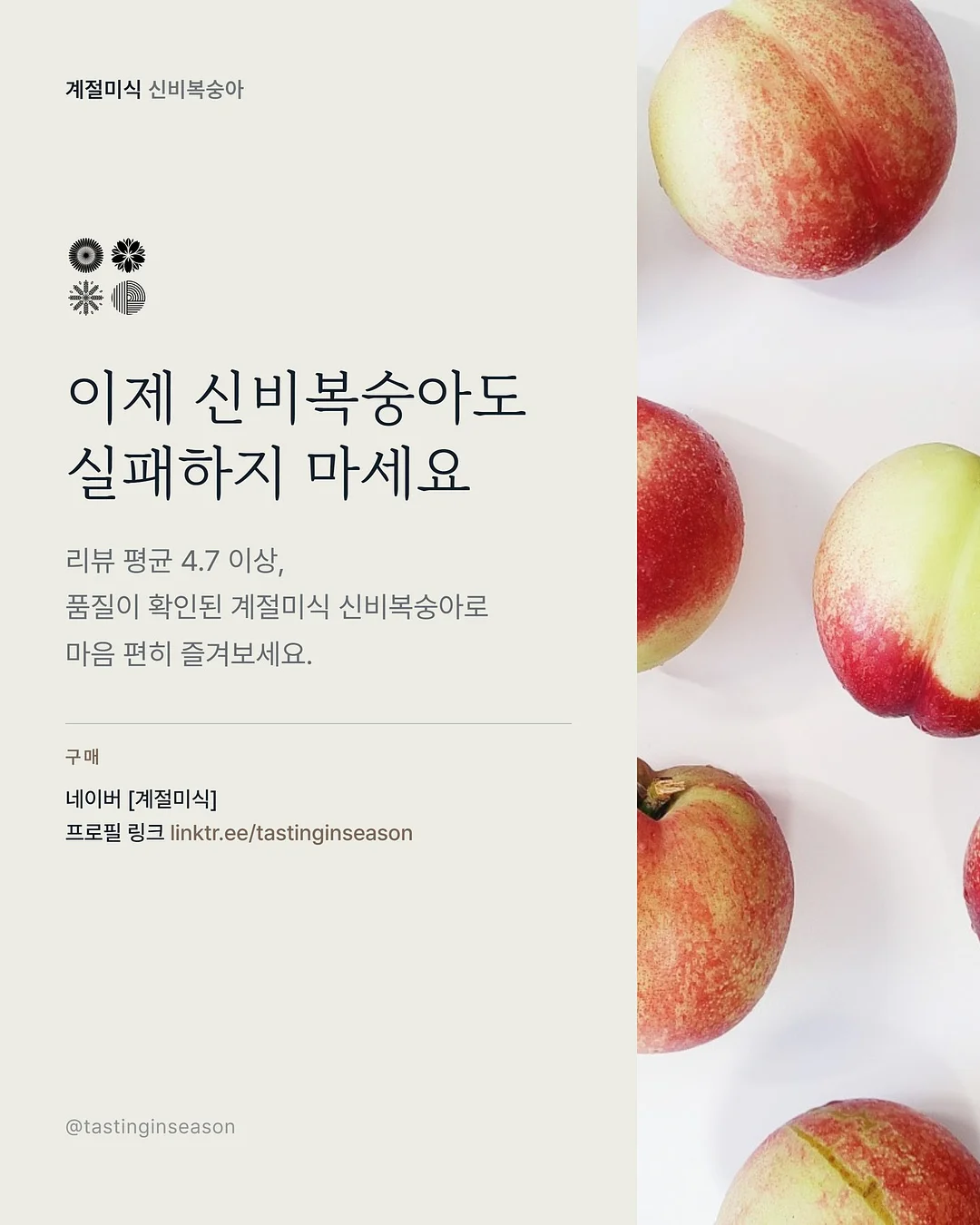 데스게임 한정판 보드게임 3종 7