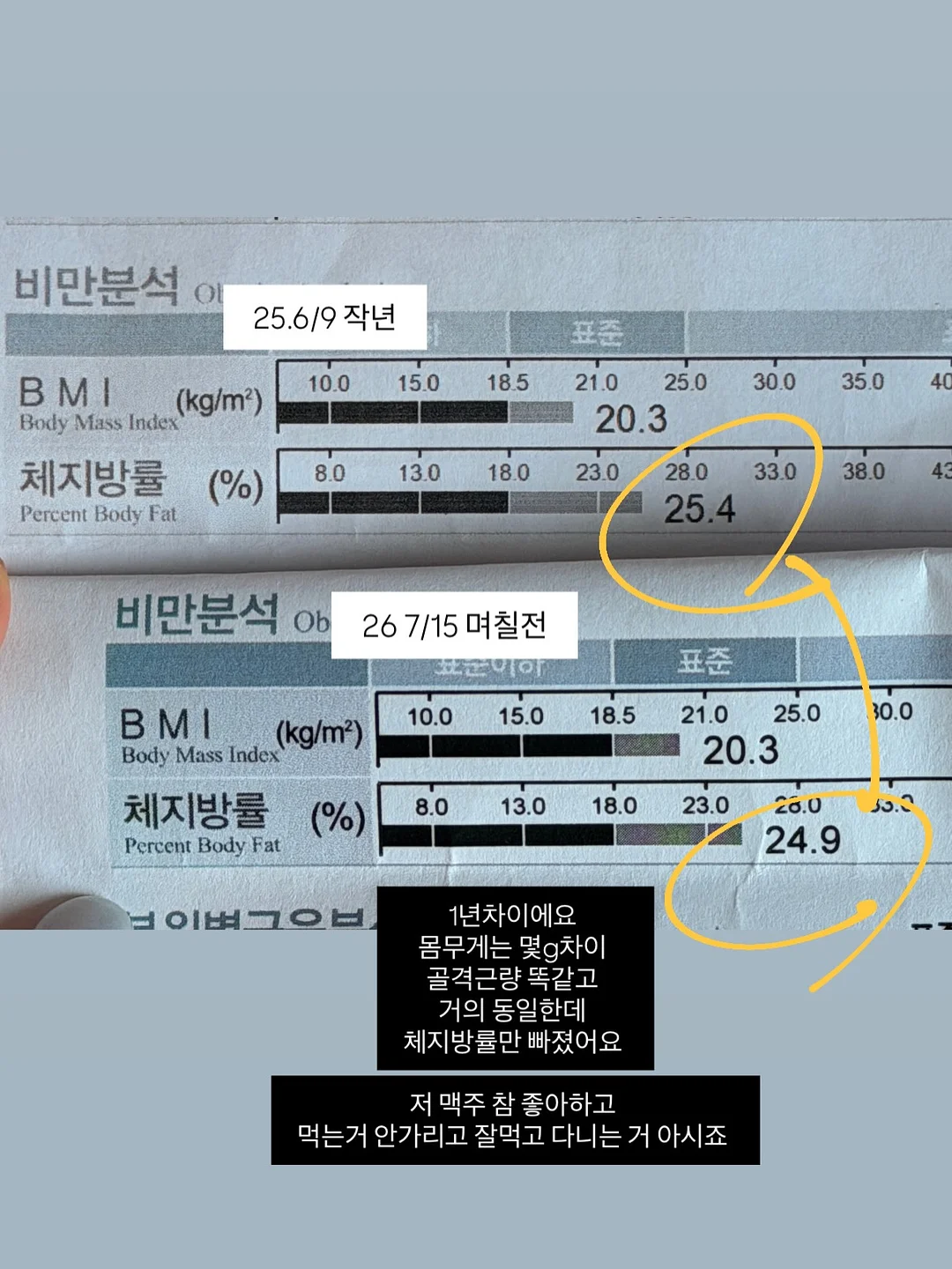 명품 가방 2