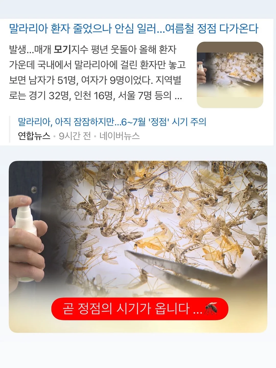 폴pk남매룩 티셔츠 및 원피스 세트 5