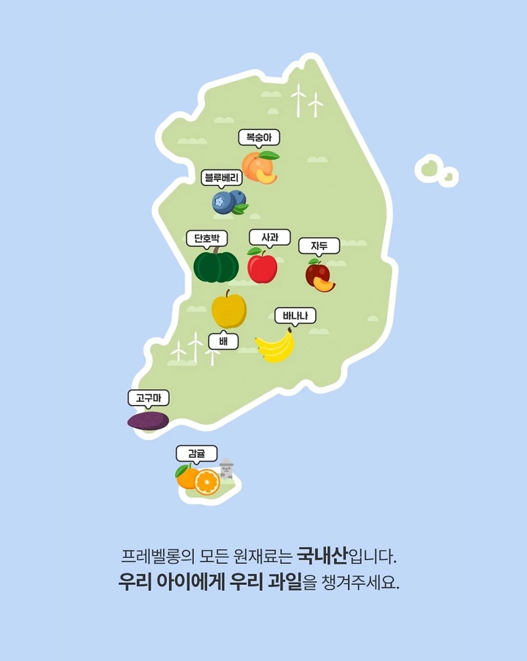 시간고양이 12