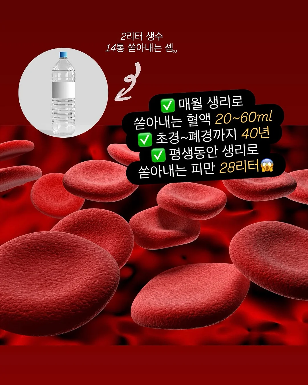 내신 수학 1등급 학습 계획표 4