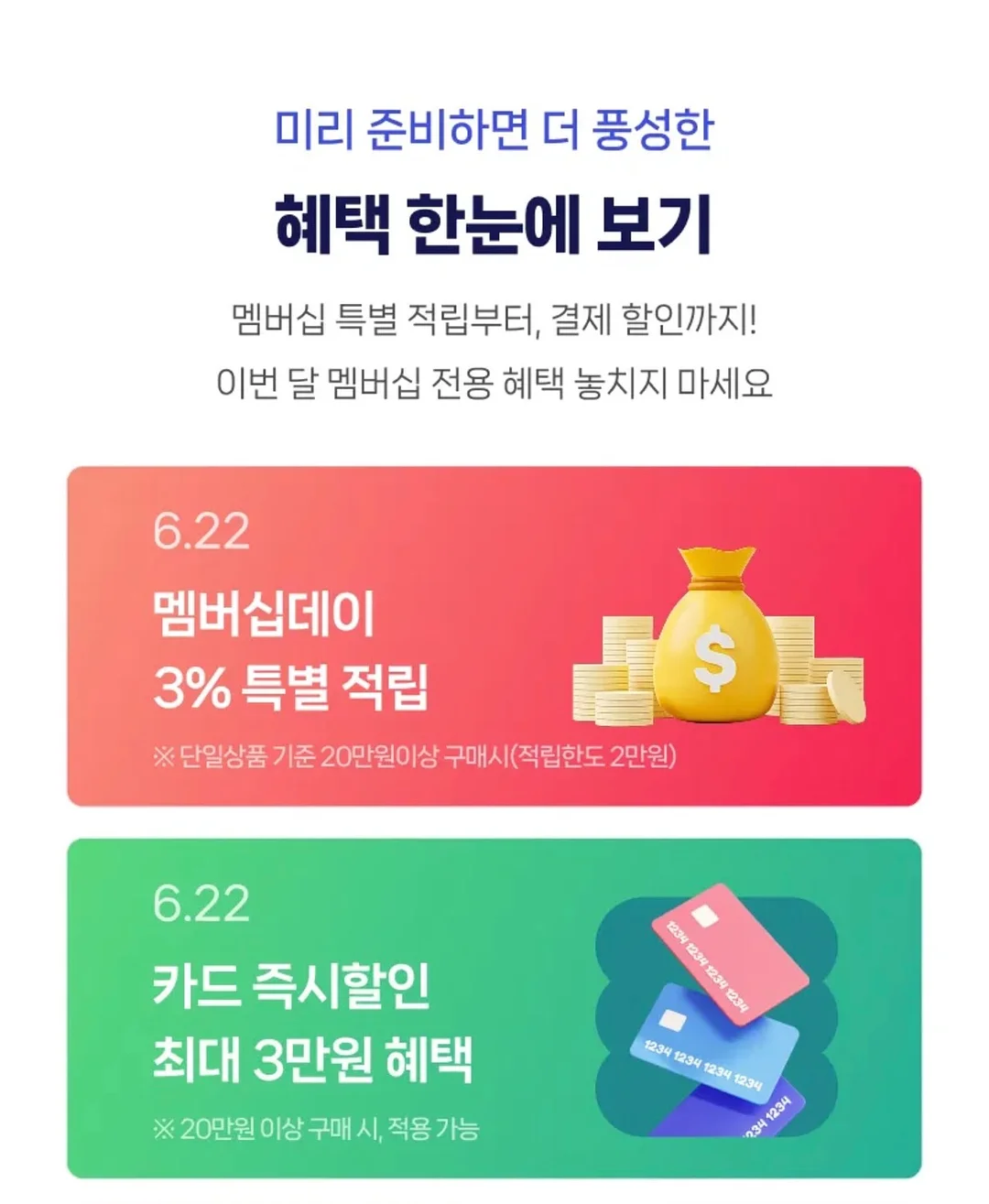 HAYDEN 협업 컬렉션 1