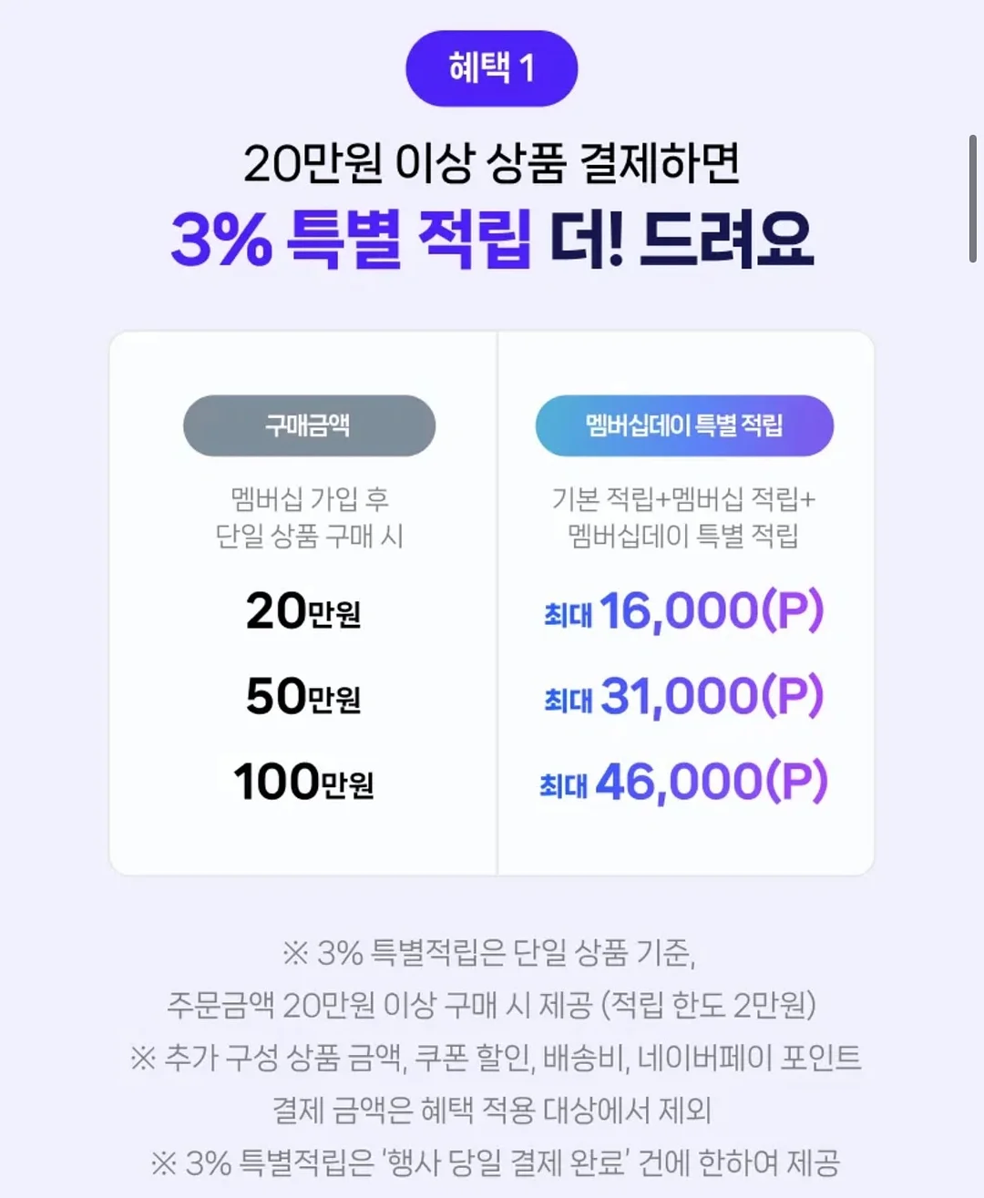 HAYDEN 협업 컬렉션 2