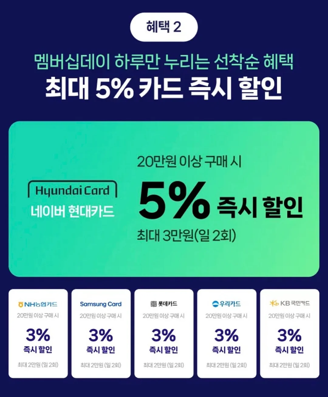 HAYDEN 협업 컬렉션 3