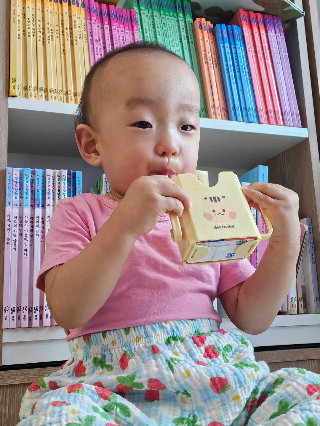 노바 키링 2