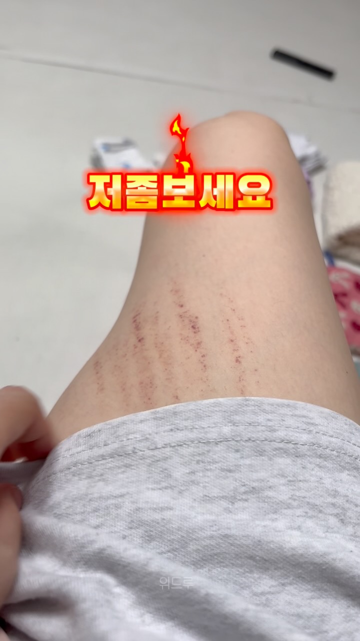 전자레인지 머그 밥솥