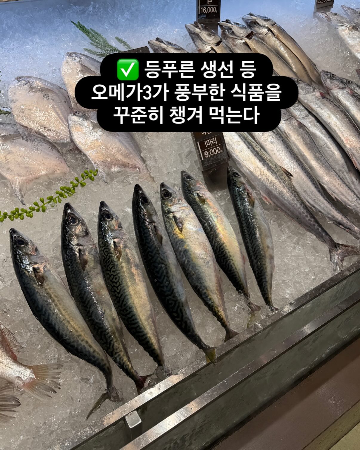 일기를 에세이로 바꾸는 법 2