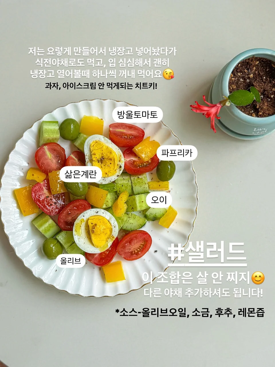 기본티 6