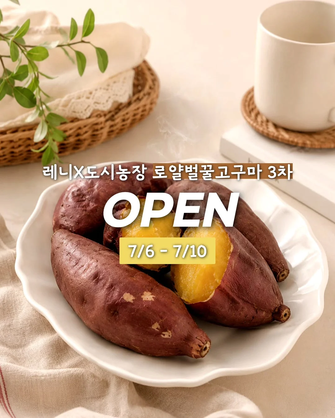 빌트인 식세기 1