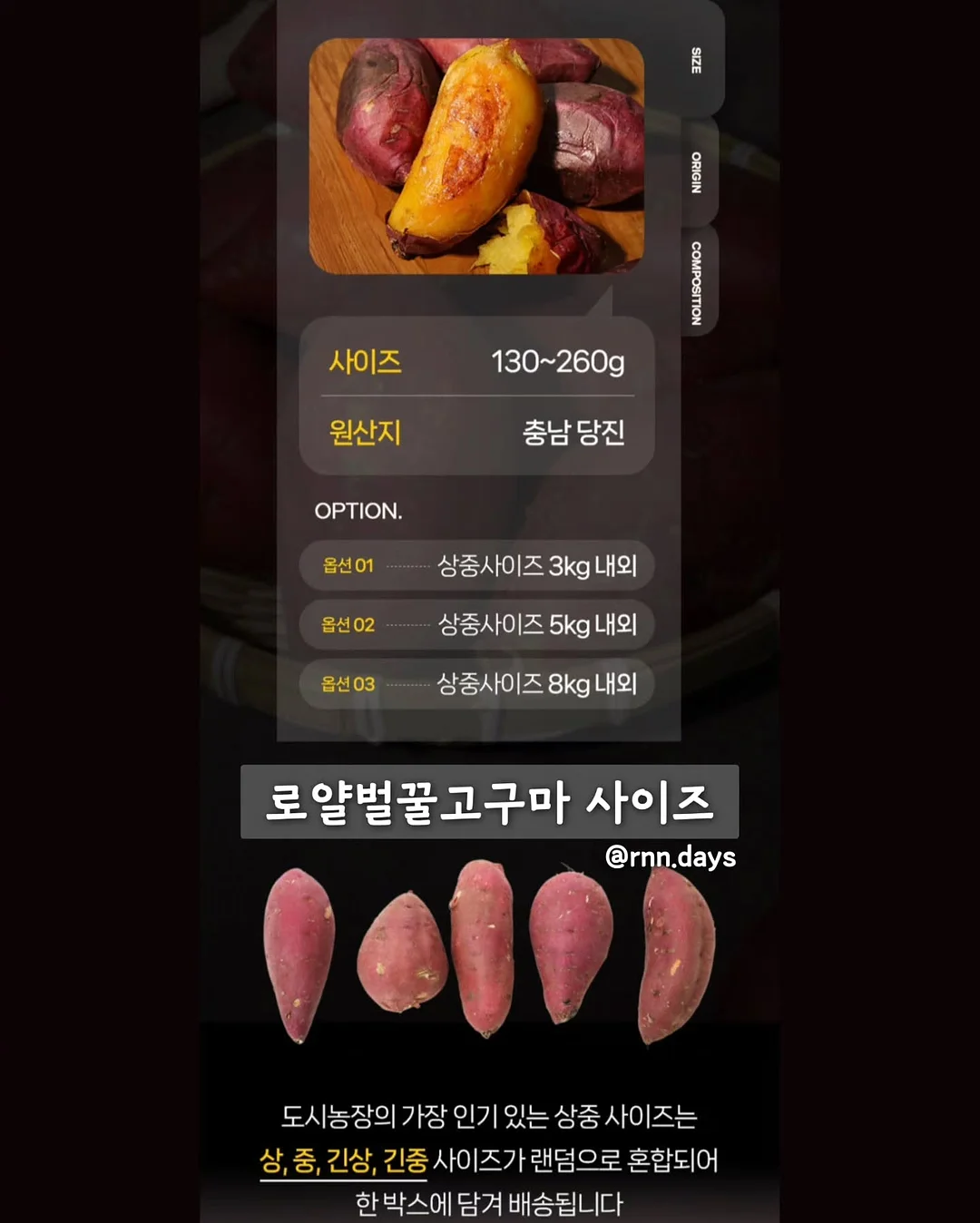 빌트인 식세기 3