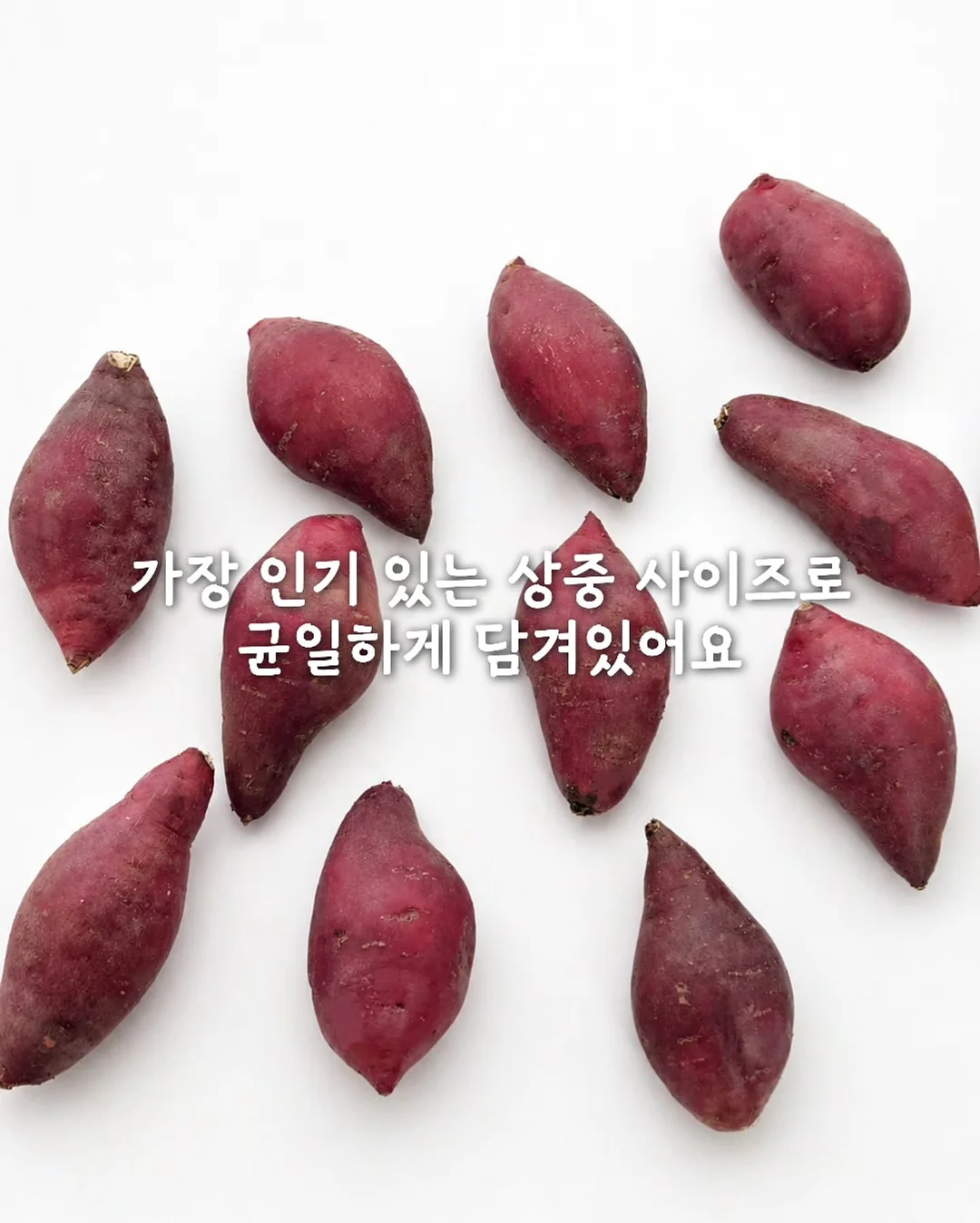빌트인 식세기 4