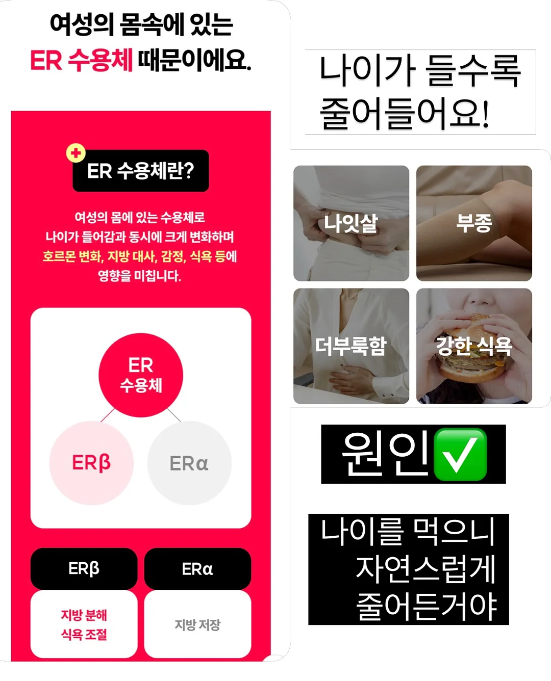 SNPE 바른자세 척추운동 클래스 4