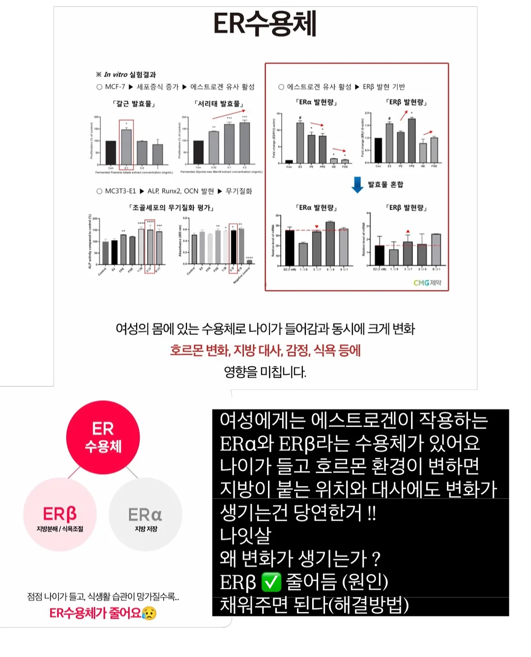 SNPE 바른자세 척추운동 클래스 5