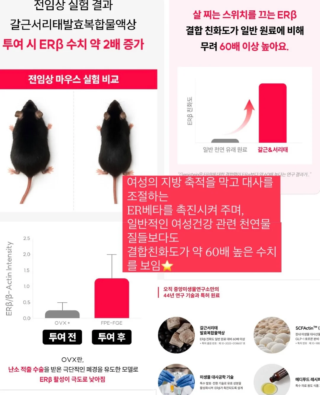 SNPE 바른자세 척추운동 클래스 7