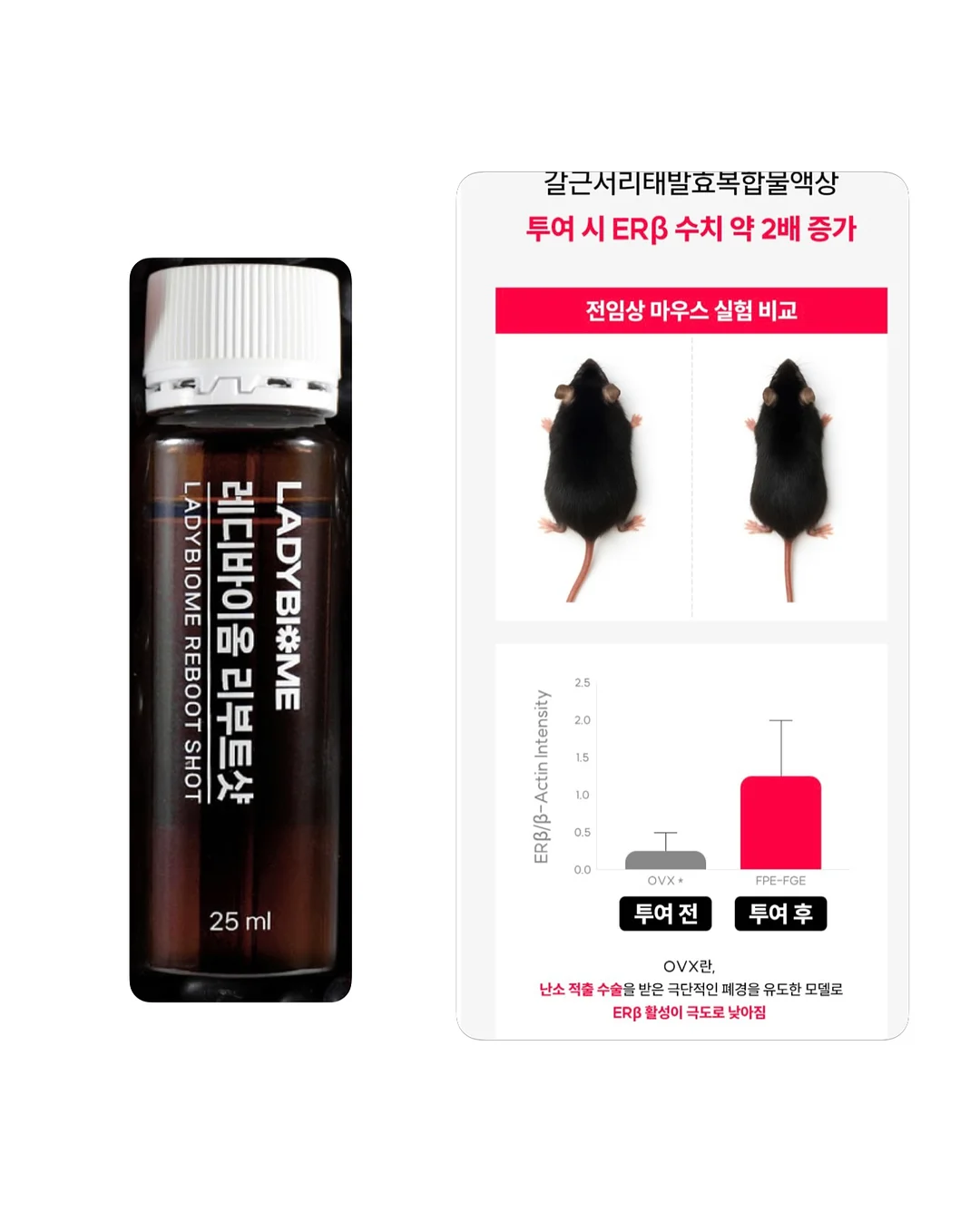 SNPE 바른자세 척추운동 클래스 9